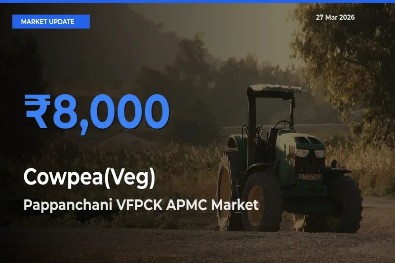 Farmers Prefer Pappanchani VFPCK APMC as Cowpea(Veg) Hits Highest Rate