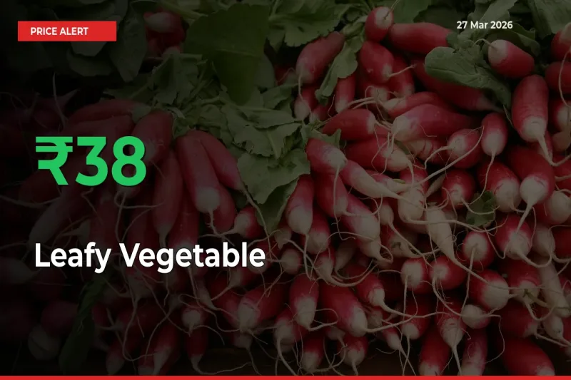 Farmers Cheer as Leafy Vegetable Prices Surge 37.56% in Local Mandis