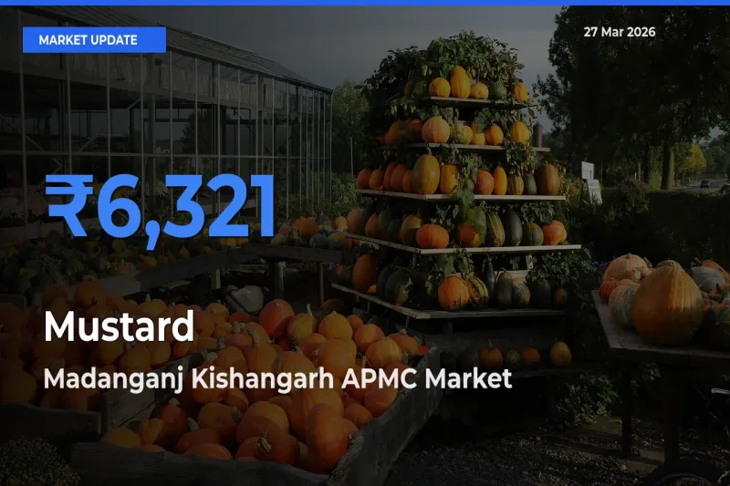 Madanganj Kishangarh APMC Tops Mustard Mandi Rates Today