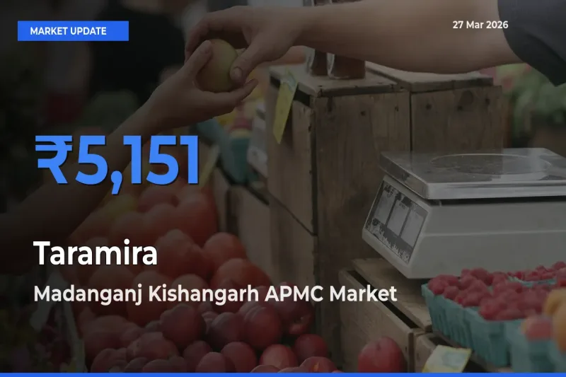 Market Watch: Madanganj Kishangarh APMC Becomes Top Mandi for Taramira