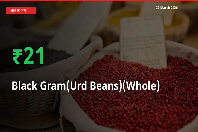 साबुत उड़द के दाम प्रमुख मंडी में 20.92% बढ़े, 24 घंटे में बड़ा बदलाव