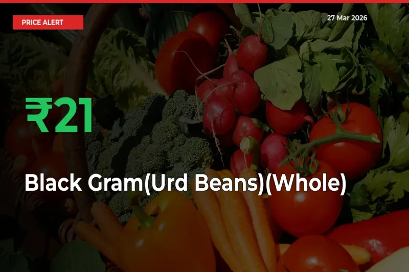 This Mandi Records 20.92% Jump in Black Gram(Urd Beans)(Whole) Prices