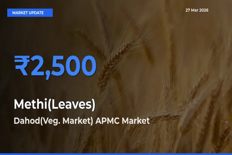 Dahod(Veg. Market) APMC Records Highest ₹2,500 Rate for Methi(Leaves)