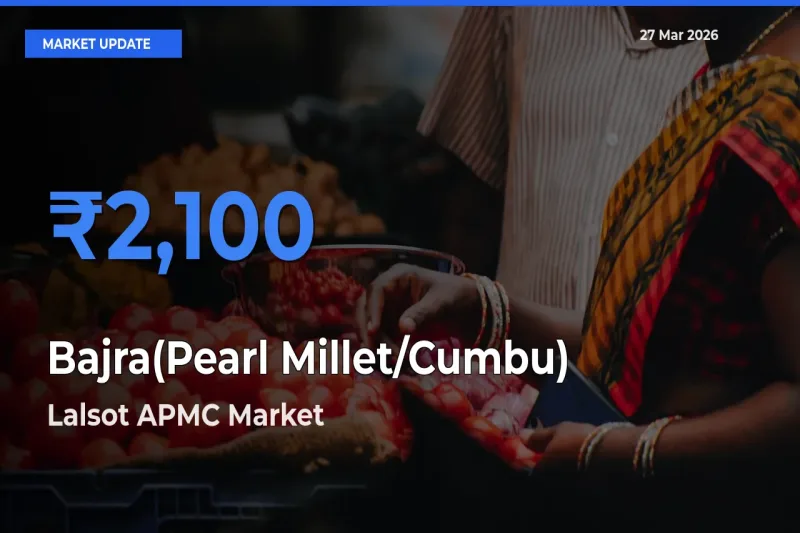 Lalsot APMC Tops Bajra(Pearl Millet/Cumbu) Mandi Rates Today