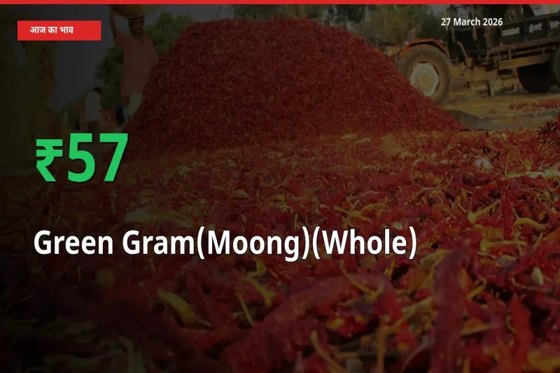साबुत मूंग 56.82% उछला, मंडी