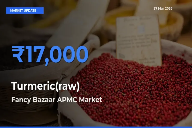 Fancy Bazaar APMC Tops Turmeric(raw) Rates – March 27 Market Update