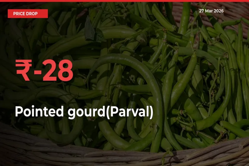 This Mandi Records 28.23% Fall in Pointed gourd(Parval) Prices