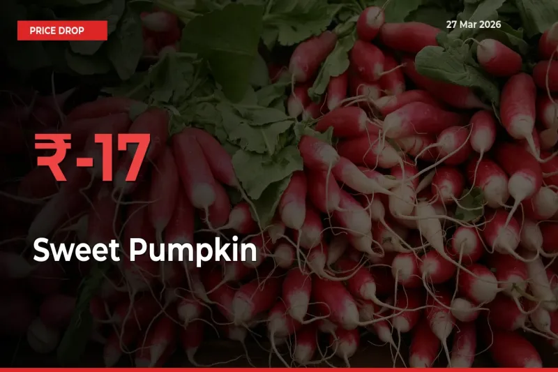 17.02% Drop in Sweet Pumpkin Prices – Mandi Sees Sudden Fall