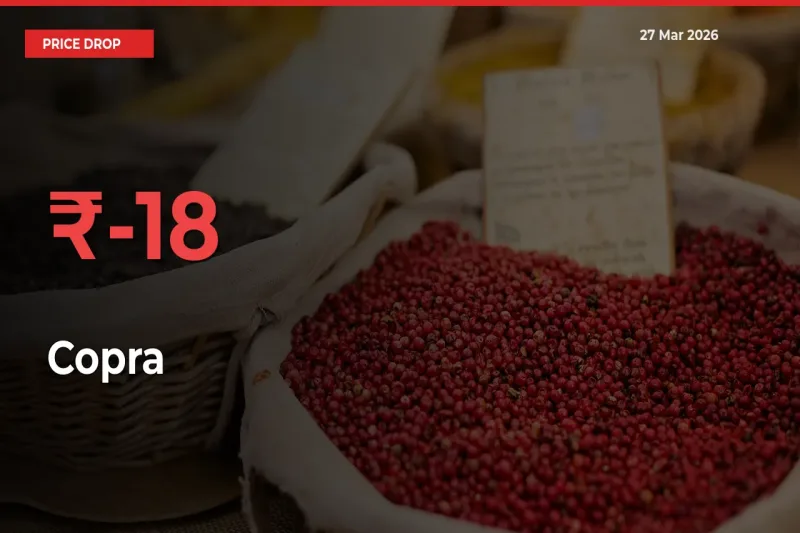 Copra Prices Drop 18% – March 27 Market Update from Mandis