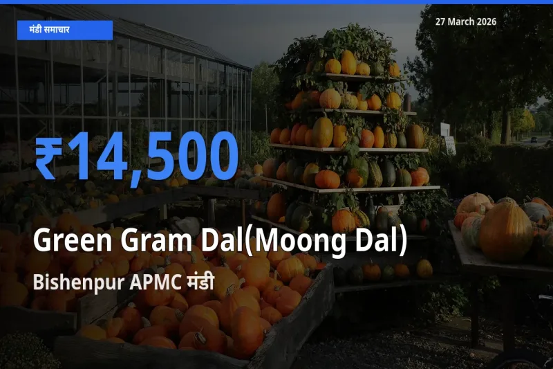 Bishenpur APMC मंडी में मूंग दाल ₹14,500 पर पहुँचा – आज का सर्वोच्च भाव