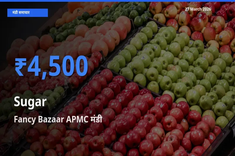 आज चीनी के सबसे ऊँचे दाम ₹4,500 Fancy Bazaar APMC मंडी में