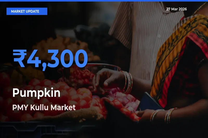 PMY Kullu Records Highest ₹4,300 Rate for Pumpkin