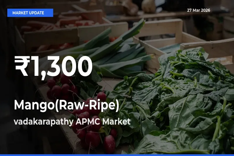 Why Mango(Raw-Ripe) Prices Slumped in vadakarapathy APMC – 30-Day Low Today
