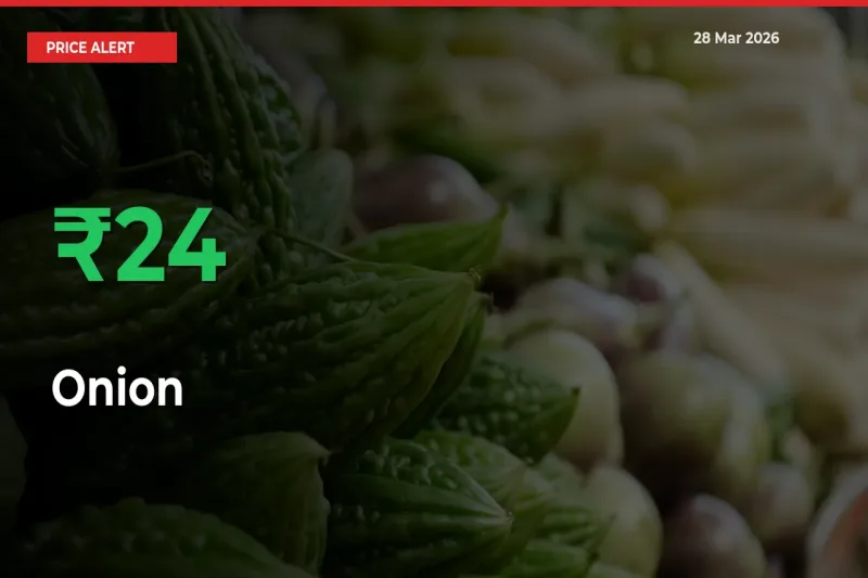 This Mandi Records 24.43% Jump in Onion Prices