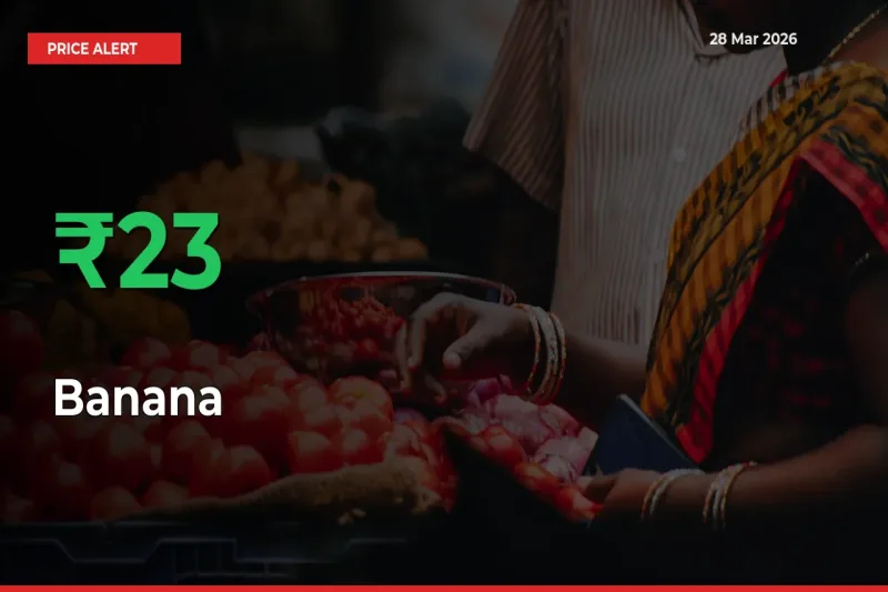 Farmers Cheer as Banana Prices Surge 22.68% in Local Mandis