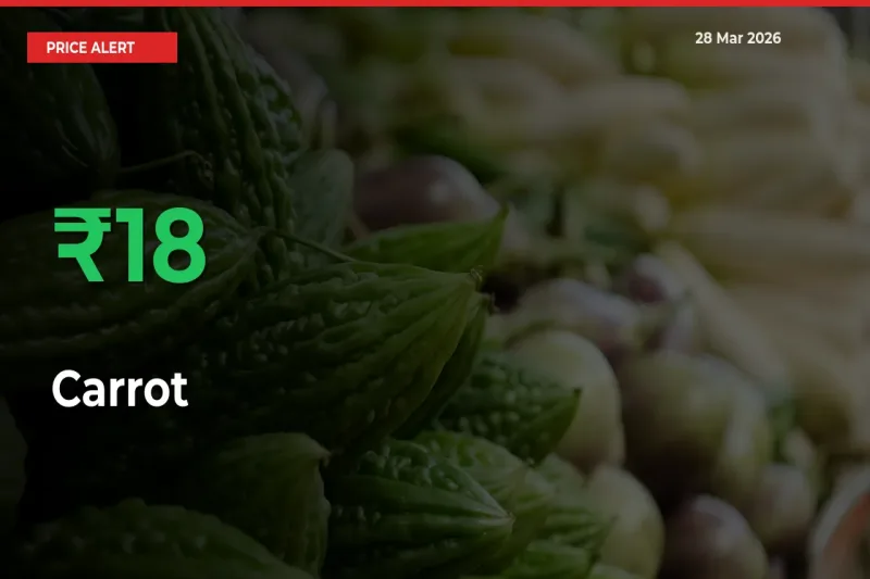 18.32% Spike in Carrot Prices – Mandi Sees Sudden Rally
