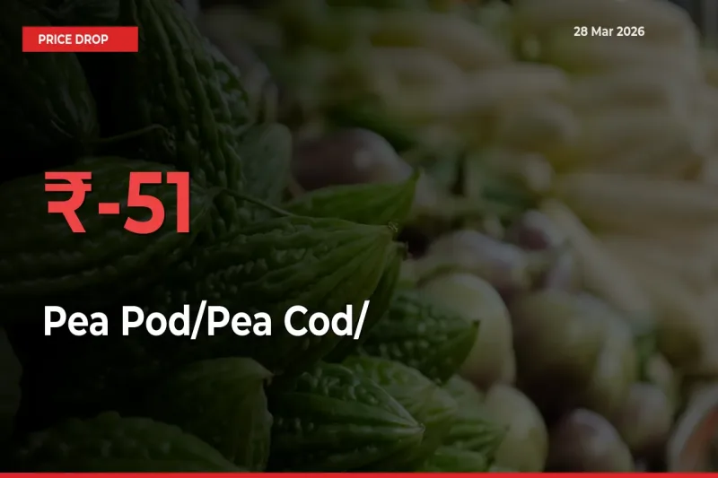 51.24% Drop in Pea Pod/Pea Cod/हरी मटर Prices – Mandi Sees Sudden Fall