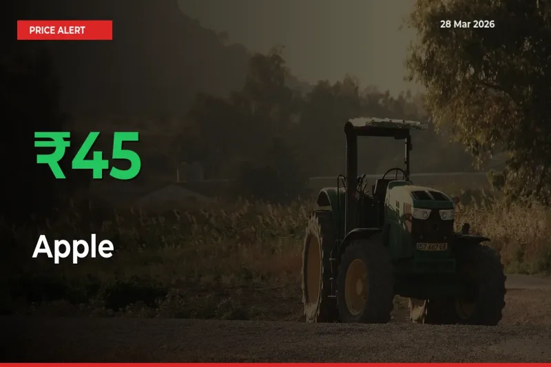 Sudden 45.35% Rally in Apple Prices Across Mandis