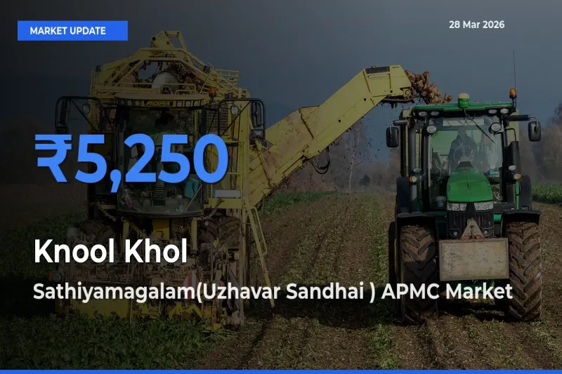 Sathiyamagalam(Uzhavar Sandhai ) APMC Emerges as Top Mandi for Knool Khol Prices Today