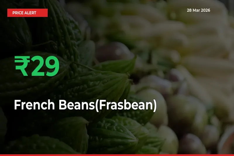Big Rally! French Beans(Frasbean) Climbs 29.04% in 24 Hours at Top Mandis