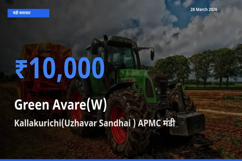 Kallakurichi(Uzhavar Sandhai ) APMC मंडी में आज हरी सेम के सबसे ऊँचे दाम दर्ज
