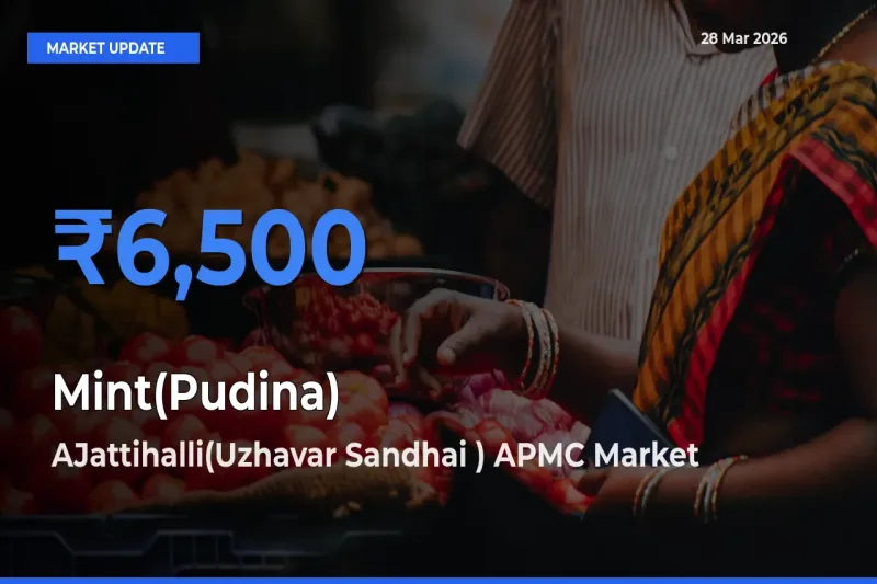 AJattihalli(Uzhavar Sandhai ) APMC Offers ₹6,500 – Highest Mint(Pudina) Rate Today