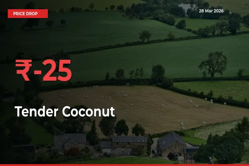This Mandi Records 24.88% Fall in Tender Coconut Prices