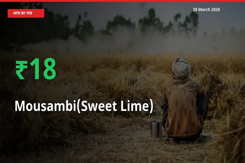 स्थानीय मंडी में मौसंबी के दाम अचानक 18.21% उछले, किसान सतर्क