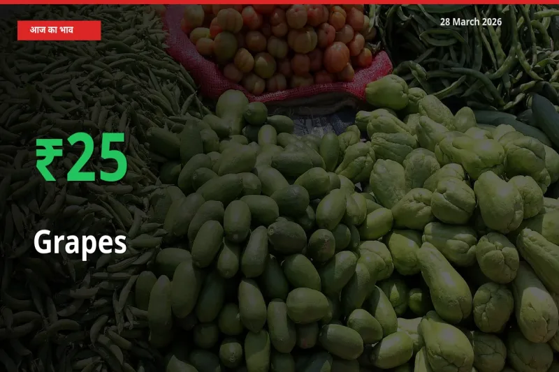 तेज़ तेजी! मंडी में अंगूर के दाम 25.33% चढ़े