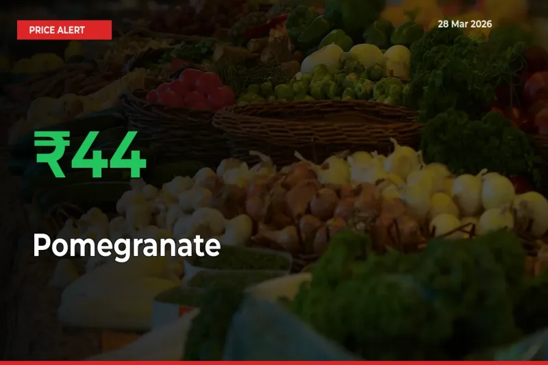 Why Pomegranate Prices Rose 44.05% in a Day at Mandis