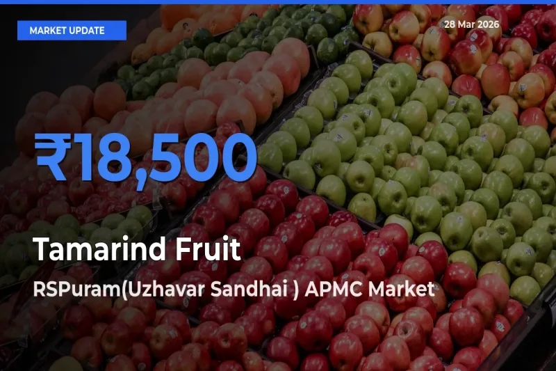 RSPuram(Uzhavar Sandhai ) APMC Leads as Top Mandi for Tamarind Fruit Prices