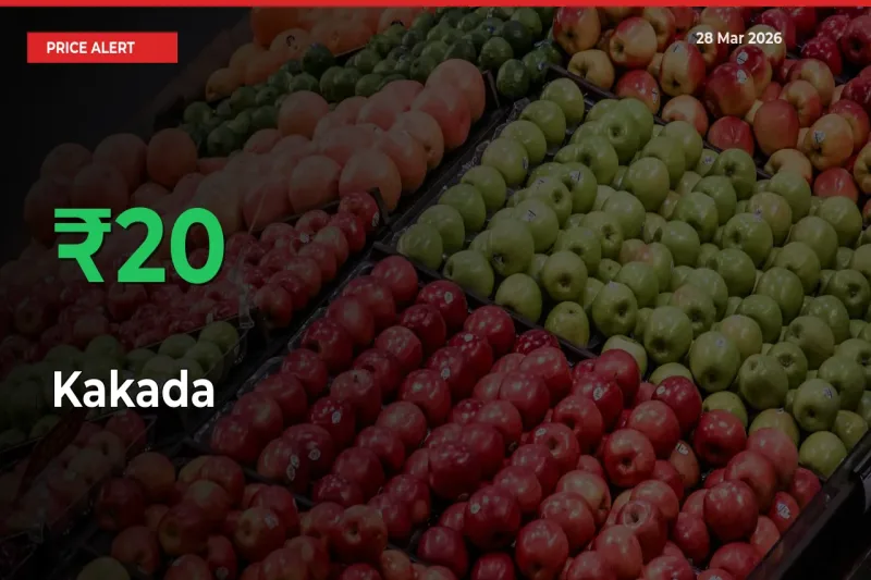 Kakada Prices Rise 20% in a Day at Major Mandis