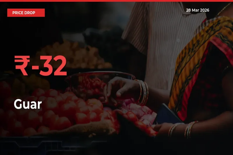 Sudden Shock! Guar Drops 31.93% in 24 Hours at Top Mandis