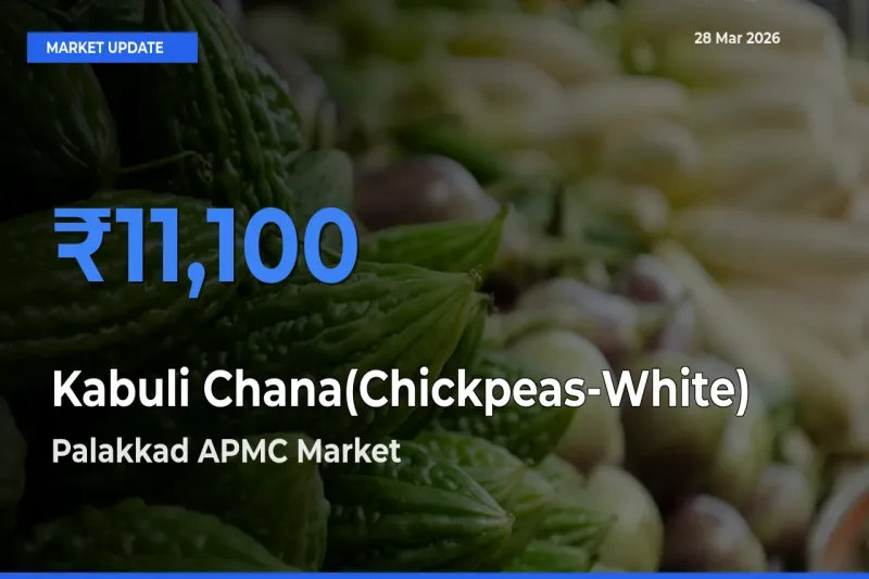 Palakkad APMC Tops Kabuli Chana(Chickpeas-White) Mandi Rates Today