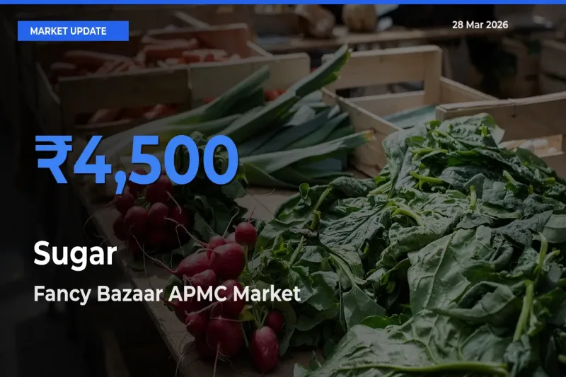 Fancy Bazaar APMC Emerges as Top Mandi for Sugar Prices Today