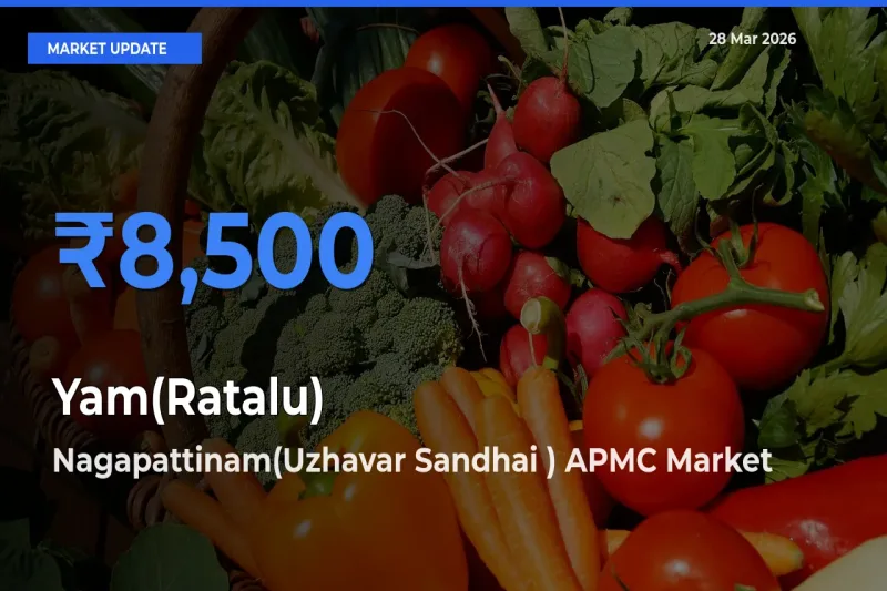 Nagapattinam(Uzhavar Sandhai ) APMC Offers ₹8,500 – Highest Yam(Ratalu) Rate Today