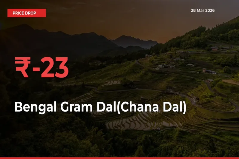 22.76% Drop in Bengal Gram Dal(Chana Dal) Prices – Mandi Sees Sudden Fall