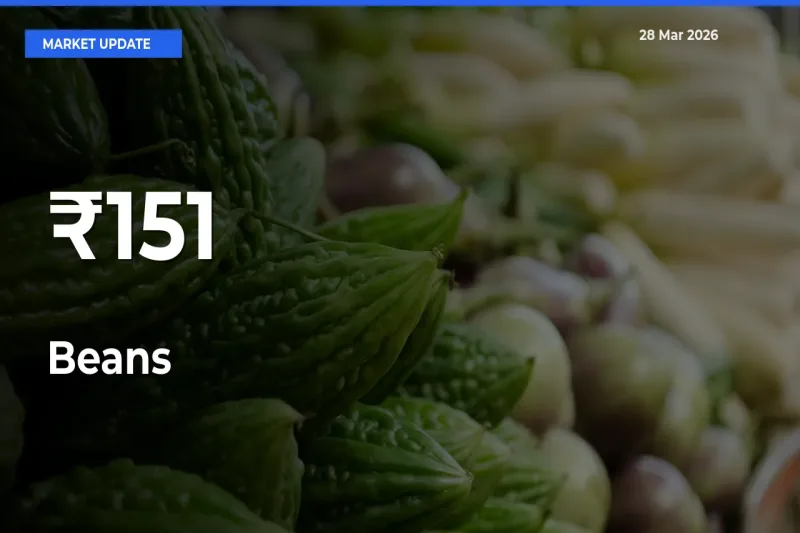 Multi-Mandi Trend Emerges as Beans Prices Shift Across Key Markets