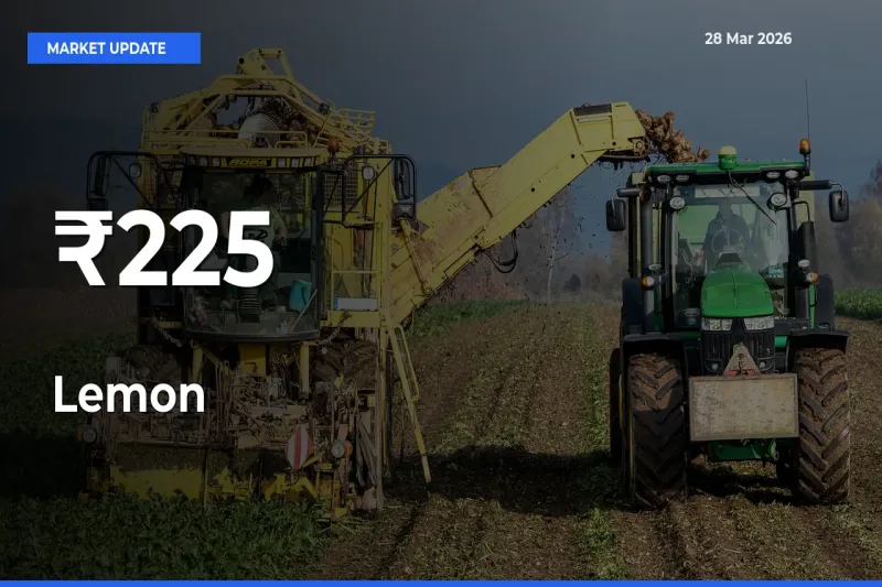Lemon Shows Strong Mandi Trend – March 28 Market Update