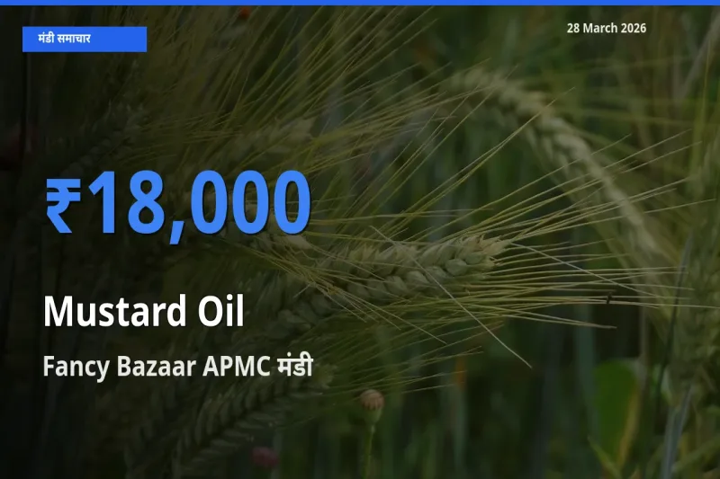 किसानों की पसंद बना Fancy Bazaar APMC, सरसों का तेल के सबसे अच्छे दाम