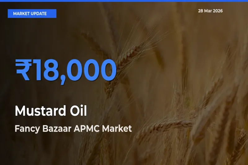 Top Performer! Fancy Bazaar APMC Offers Best Mustard Oil Price Today
