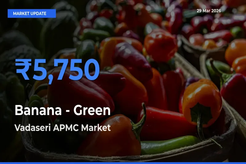 Farmers Prefer Vadaseri APMC as Banana - Green Hits Highest Rate