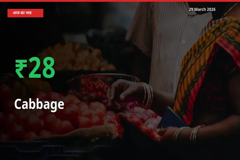 पत्ता गोभी 28.16% उछला, मंडी