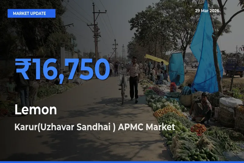 Farmers Prefer Karur(Uzhavar Sandhai ) APMC as Lemon Hits Highest Rate