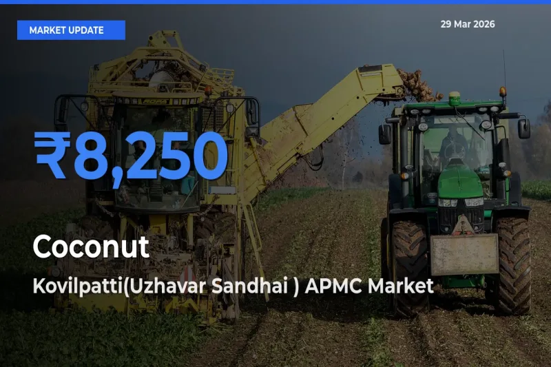 Kovilpatti(Uzhavar Sandhai ) APMC Tops Coconut Mandi Rates Today