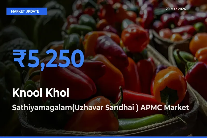 Knool Khol Mandi Rate Today: Sathiyamagalam(Uzhavar Sandhai ) APMC Tops the List