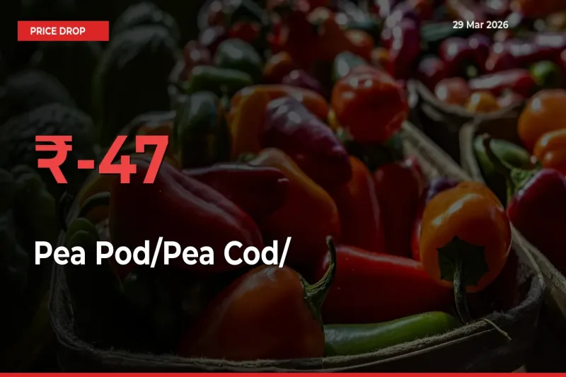 Pea Pod/Pea Cod/हरी मटर Mandi Rate Today: Prices Fall 46.8% at Market