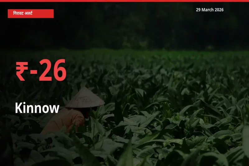 26.27% की गिरावट! मंडी में किन्नू के दाम अचानक टूटे