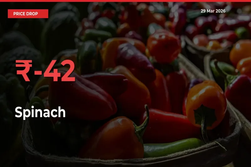 This Mandi Records 42.23% Fall in Spinach Prices