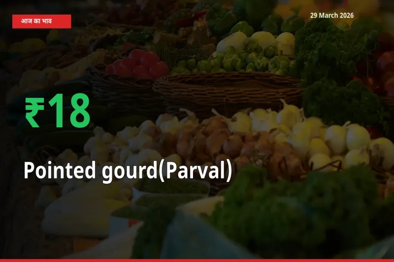 परवल 17.79% उछला, मंडी
